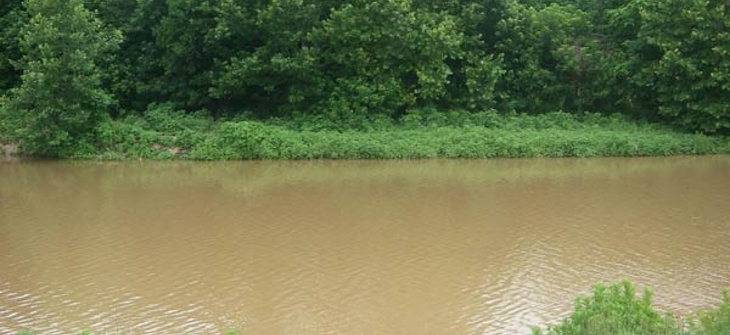 A muddy river.