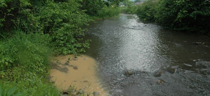 All Stormwater Particles Are Not The Same. Part 1: Particle Size And Composition