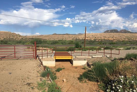 Big R cattle guard.
